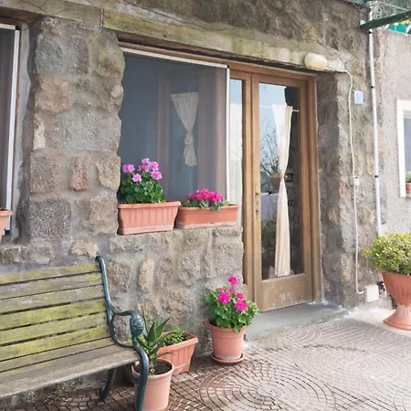Neptunus B&B Forio di Ischia